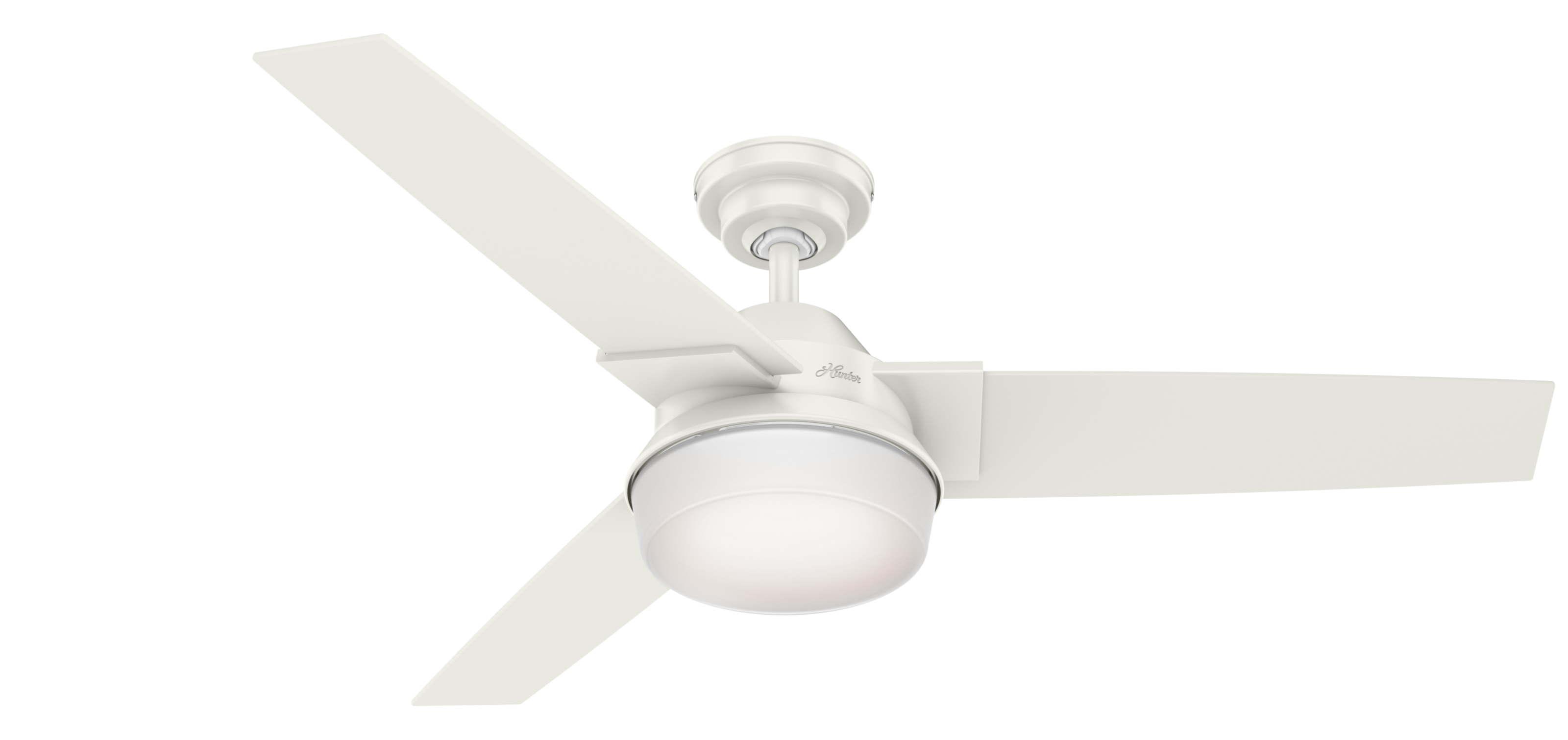 50043.png?v=637511609610730000