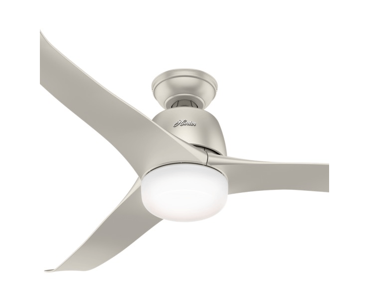 50041Corpo.png?v=637559985259300000